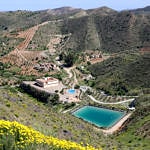 The Swinger Mansion