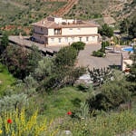 The Swinger Mansion